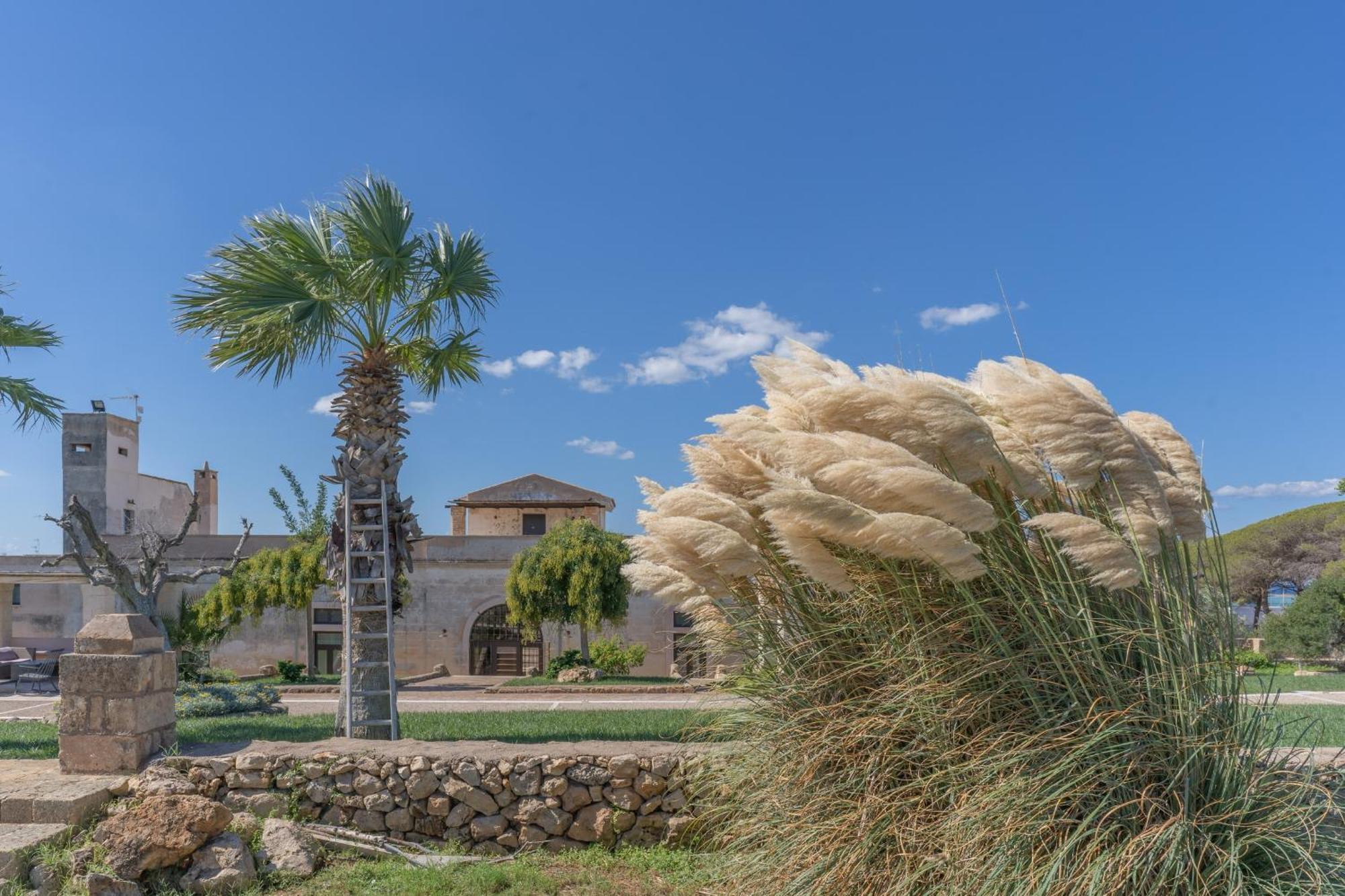 Masseria Casina Bellanova Porto Cesareo Extérieur photo